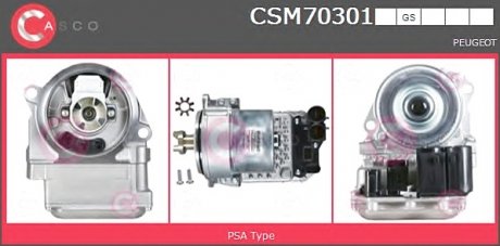Электродвигатель CASCO CSM70301GS