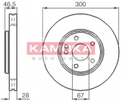 Гальмівний диск KAMOKA 1032272 (фото 1)
