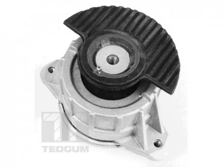 Подушка двигуна TEDGUM 00418476 (фото 1)