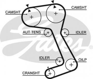 Ремінь ГРМ Gates 5364XS (фото 1)