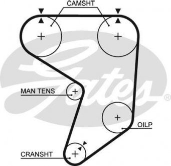 Ремінь ГРМ Gates 5195XS (фото 1)