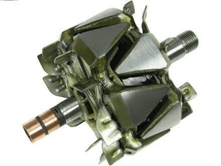 WIRNIK ALTERNATORA AS AR3031S (фото 1)