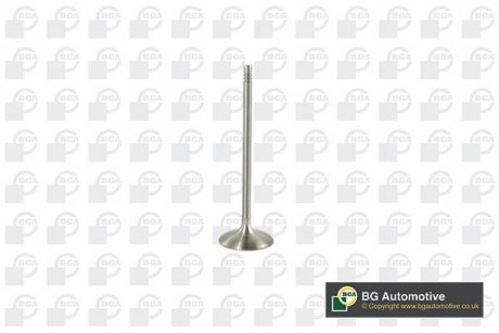 Клапан впуск BMW 3 (E90/F30/F34/E91/F31/E92)/X5 (E70/F15) 2.0-3.0 04-18 BGA V095111