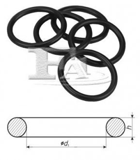 Ущільнююче кільце Fischer Automotive One (FA1) 244850100