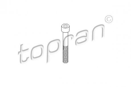 Болт, корпус скобы тормоза TOPRAN / HANS PRIES 110707 (фото 1)