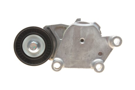 Натяжитель ремня генератора Citroen/Peugeot/Ford 1.4HDi/1.6TDCi 01- SOLGY 110022