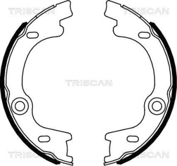 Гальмівні колодки ручного гальма TRISCAN 810018010