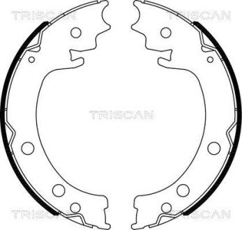 Гальмівні колодки ручного гальма TRISCAN 810069006