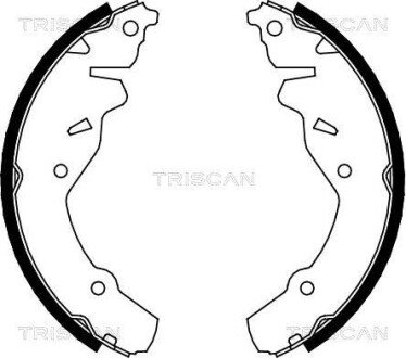 Гальмівні колодки (набір) TRISCAN 810080002