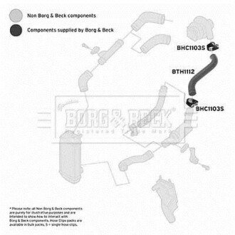 Шлангопровод BORG & BECK BTH1112