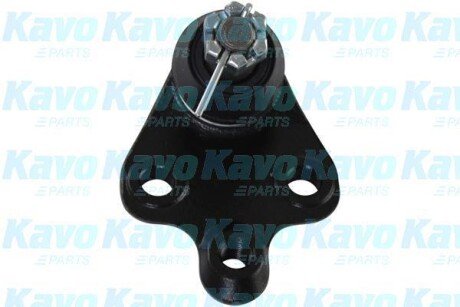 Опора кульова (передня/знизу) Toyota Avensis 05-08/Corolla Verso 04-09 KAVO SBJ9101
