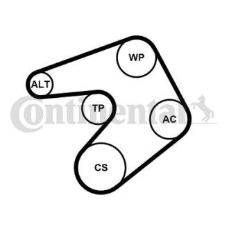 Комплект поліклинових ременів Contitech 6PK1205WP1 (фото 1)
