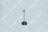 Впускний клапан (41,7x8x124,7мм) DEUTZ DEUTZ FAHR AGROPLUS, AGROTRON BF4L1012E-BF6M1012E 01.95- OE GERMANY 040520101200 (фото 1)