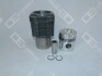 Поршень з гільзою DEUTZ DEUTZ FAHR D F2L912 01.68- OE GERMANY 040329912004 (фото 1)