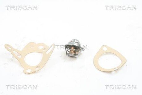 Термостат TRISCAN 8620 2788