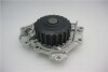 Насос води GMB GWHO46A (фото 1)