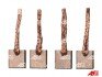 Щітки стартера (15,7x9x16,5mm/12 V) STANDARD LINE ANTONIO MASIERO BSX139 (фото 1)