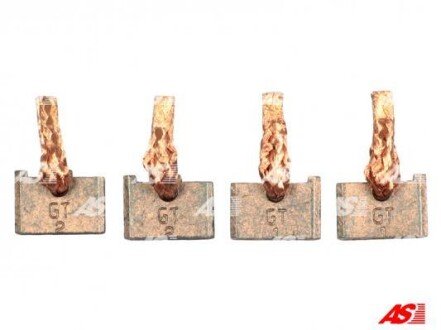 Щітки стартера (18x5,9x12,5mm/12 V) STANDARD LINE ANTONIO MASIERO BSX214-215 (фото 1)