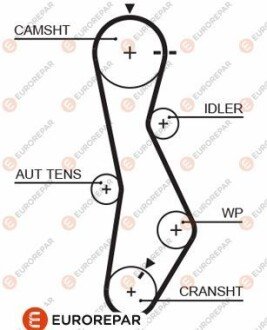 Ремінь ГРМ Kia Cerato/Ceed/Sportage/Hyundai Accent/Sonata/Santa Fe 1.5/2.0/2.2 CRDi 00- (123x28) Eurorepar 1633132980