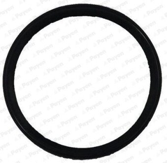 Ущільнення, впускний колектор PAYEN JD6150